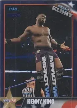 2013 TriStar TNA Impact Glory feature card