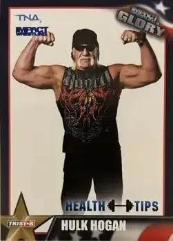 2013 TriStar TNA Impact Glory feature card