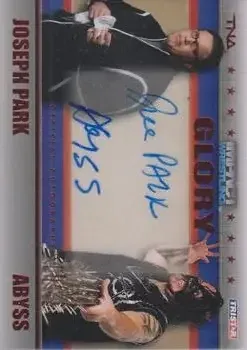 2013 TriStar TNA Impact Glory feature card