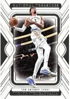 2024-25 Panini National Treasures feature card