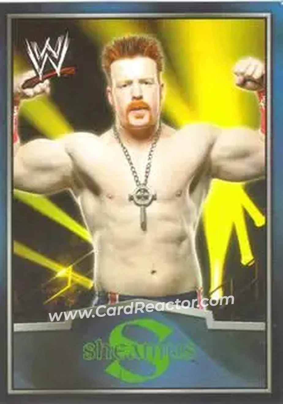2012 Topps WWE Ringside Relic Dog Tags Inserts #3 - Sheamus - Front