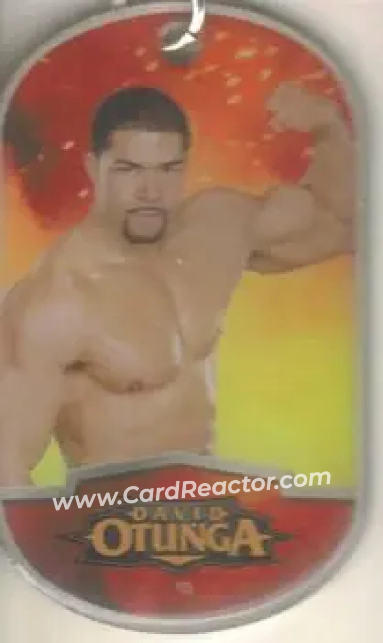 2012 Topps WWE Ringside Relic Dog Tags Inserts - Dog Tags #4 - David Otunga - Front