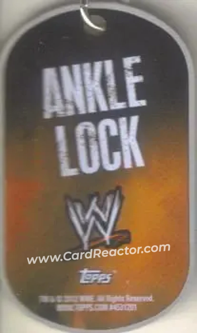 2012 Topps WWE Ringside Relic Dog Tags Inserts - Dog Tags #6 - Jake Hager - Back 2012 Topps WWE Ringside Relic Dog Tags Inserts - Dog Tags #6 - Jake Hager - Back