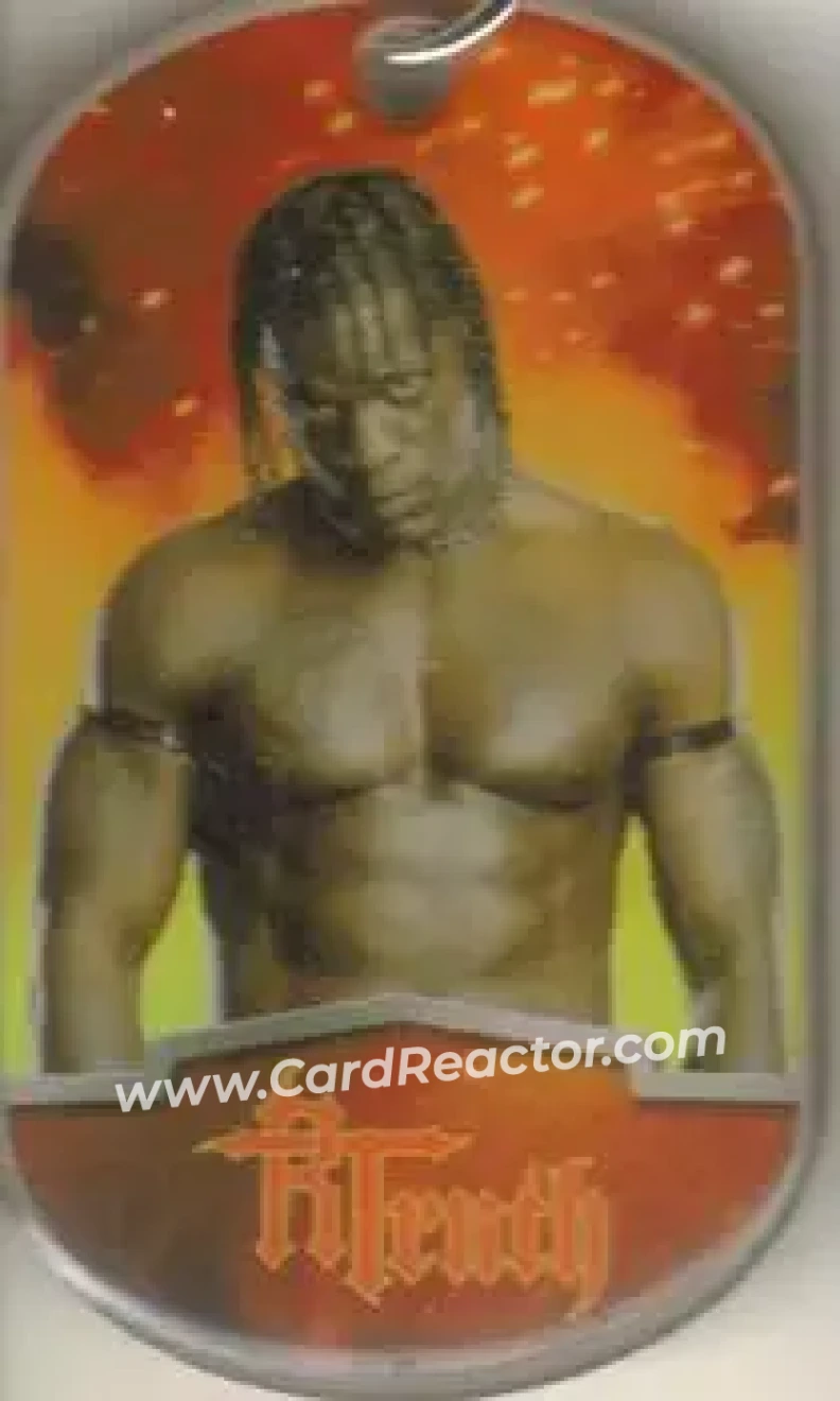 2012 Topps WWE Ringside Relic Dog Tags Inserts - Dog Tags #7 - R-Truth - Front 2012 Topps WWE Ringside Relic Dog Tags Inserts - Dog Tags #7 - R-Truth - Front