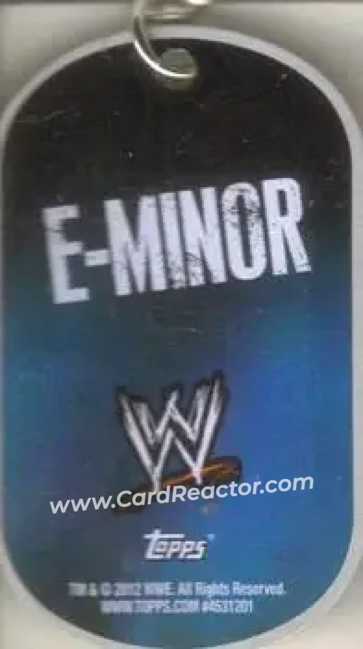 2012 Topps WWE Ringside Relic Dog Tags Inserts - Dog Tags #8 - Heath - Back