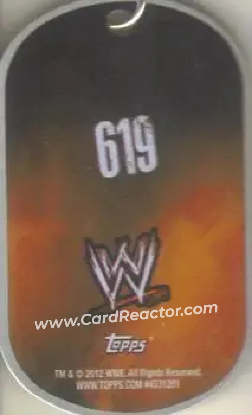 2012 Topps WWE Ringside Relic Dog Tags Inserts - Dog Tags #14 - Rey Mysterio - Back