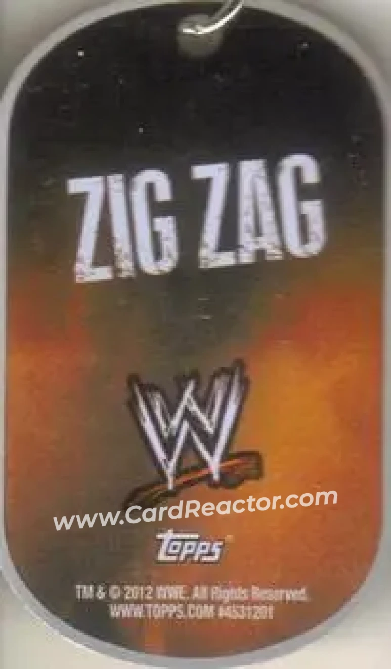 2012 Topps WWE Ringside Relic Dog Tags Inserts - Dog Tags #15 - Dolph Ziggler - Back 2012 Topps WWE Ringside Relic Dog Tags Inserts - Dog Tags #15 - Dolph Ziggler - Back