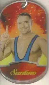2012 Topps WWE Ringside Relic Dog Tags Inserts feature card