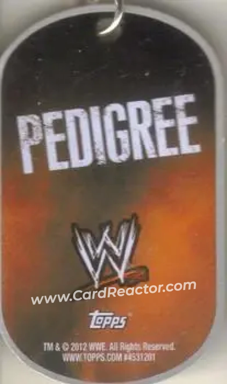 2012 Topps WWE Ringside Relic Dog Tags Inserts - Dog Tags #19 - Hunter Hearst Helmsley - Back