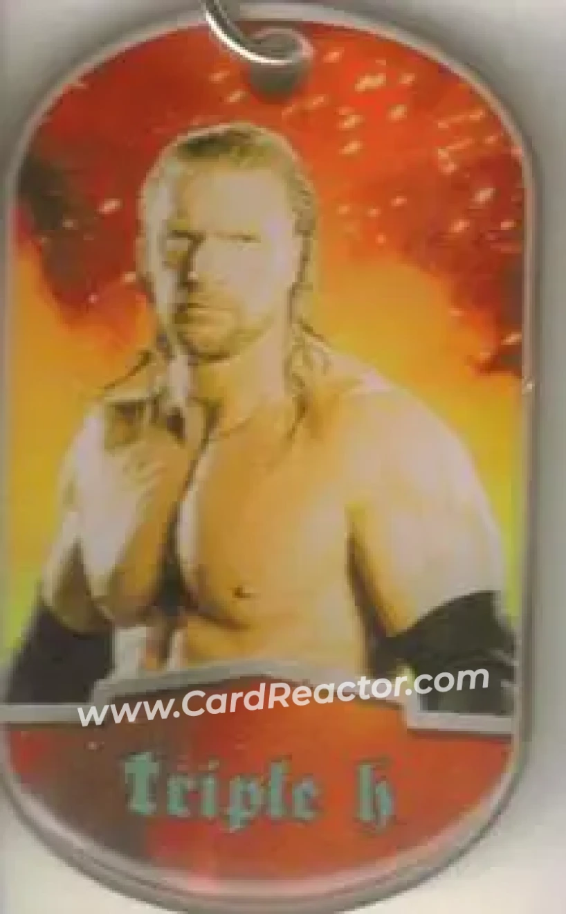 2012 Topps WWE Ringside Relic Dog Tags Inserts - Dog Tags #19 - Hunter Hearst Helmsley - Front