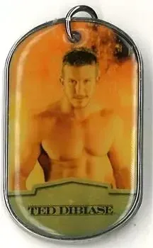 2012 Topps WWE Ringside Relic Dog Tags Inserts feature card