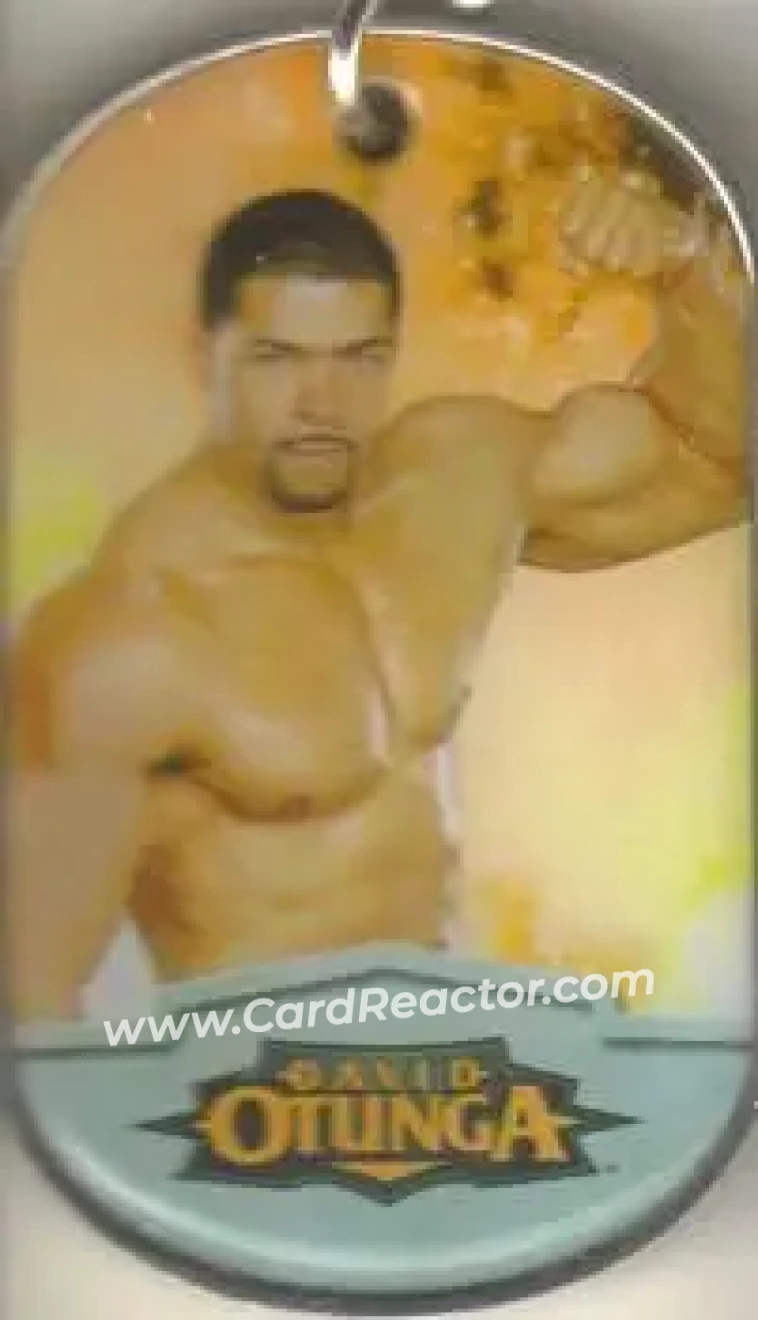 2012 Topps WWE Ringside Relic Dog Tags Inserts - Dog Tag Relics #4 - David Otunga - Front 2012 Topps WWE Ringside Relic Dog Tags Inserts - Dog Tag Relics #4 - David Otunga - Front