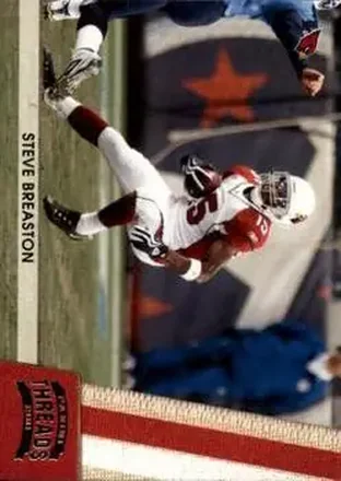 2011 Panini Threads #3 - Steve Breaston - Arizona Cardinals