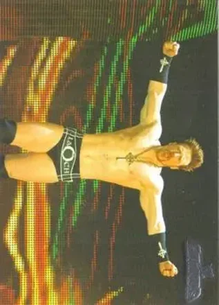 2011 Topps WWE Champions #9 - Sheamus