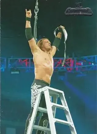 2011 Topps WWE Champions #14 - Adam Copeland