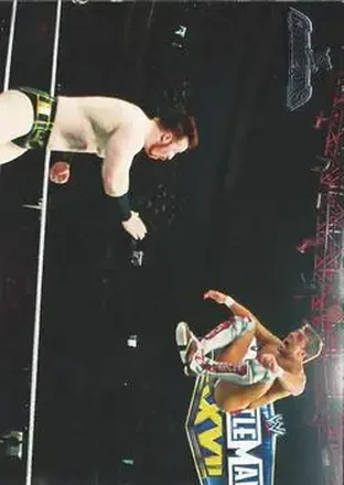 2011 Topps WWE Champions #24 - Sheamus
