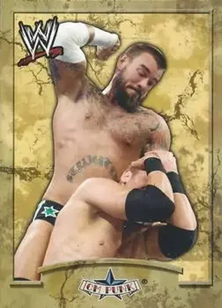 2011 Topps WWE Ringside Relic Dog Tags Inserts #1 - CM Punk