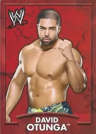 2011 Topps WWE Ringside Relic Dog Tags Inserts #3 - David Otunga