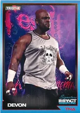 2011 TriStar Signature Impact #19 - D-Von Dudley