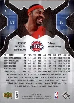 Back of Rasheed Wallace