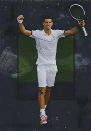 2011 Ace Authentic Match Point 2 feature card