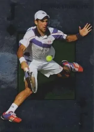 2011 Ace Authentic Match Point 2 - Royal Flush #RF16 - Novak Djokovic