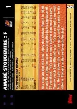 Back of Amar'e Stoudemire