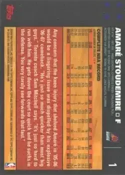 Back of Amar'e Stoudemire