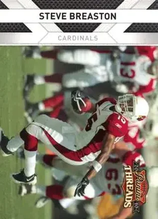 2010 Panini Threads #4 - Steve Breaston - Arizona Cardinals