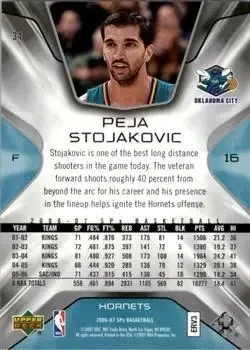 Back of Peja Stojaković