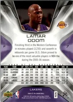 Back of Lamar Odom