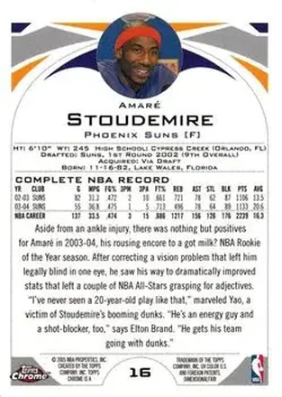 Retro di Amar'e Stoudemire