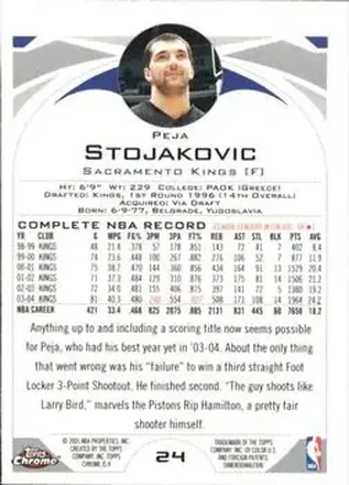 Retro di Peja Stojaković