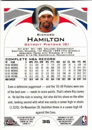 Rip Hamilton back