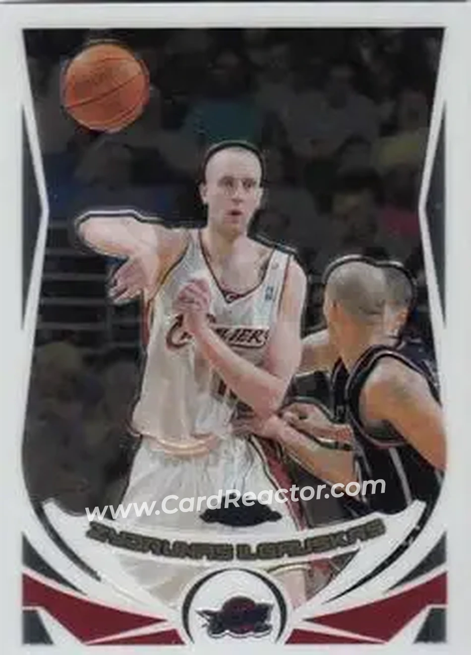 Zydrunas Ilgauskas