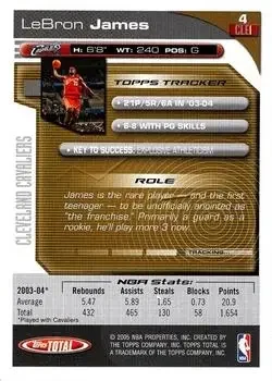 Back of LeBron James
