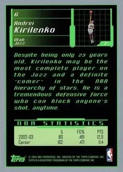 Back of Andrei Kirilenko