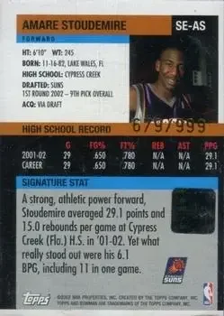Back of Amar'e Stoudemire
