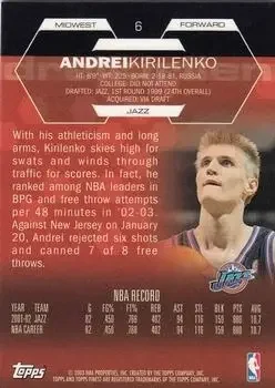 Back of Andrei Kirilenko