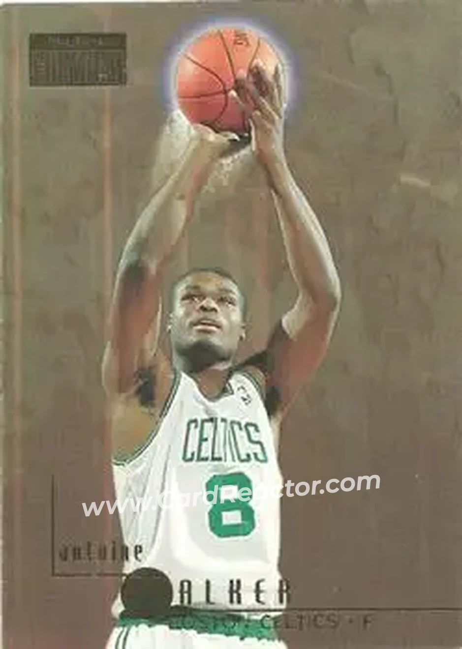 1996-97 SkyBox Premium #9 - Antoine Walker - Boston Celtics - Front