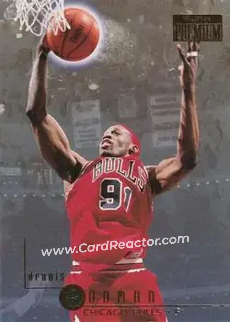 1996-97 SkyBox Premium #19 - Dennis Rodman - Chicago Bulls - Front
