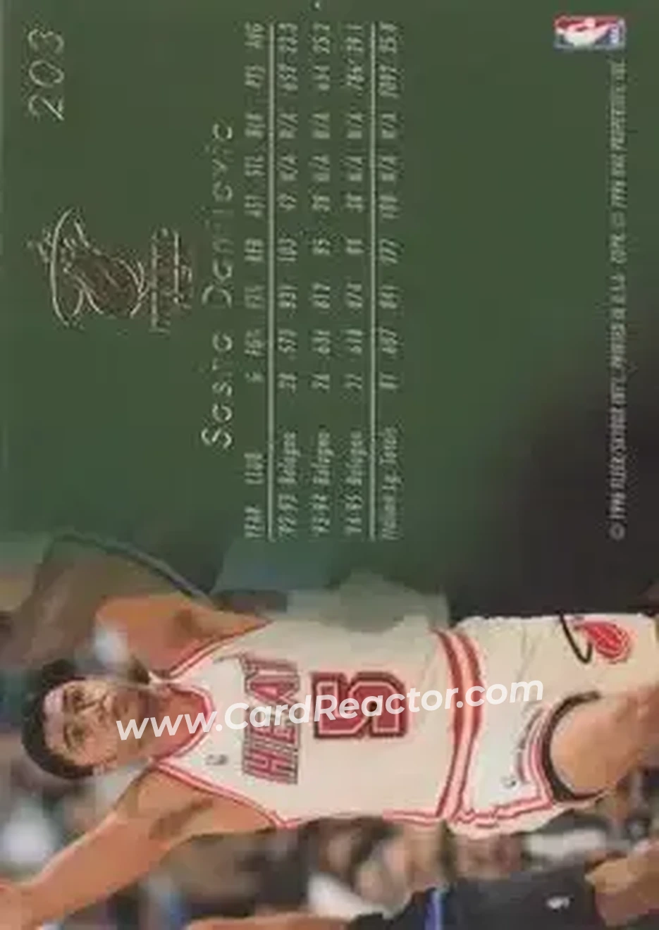 1995-96 Flair #203 - Sasha Danilović - Miami Heat - Back