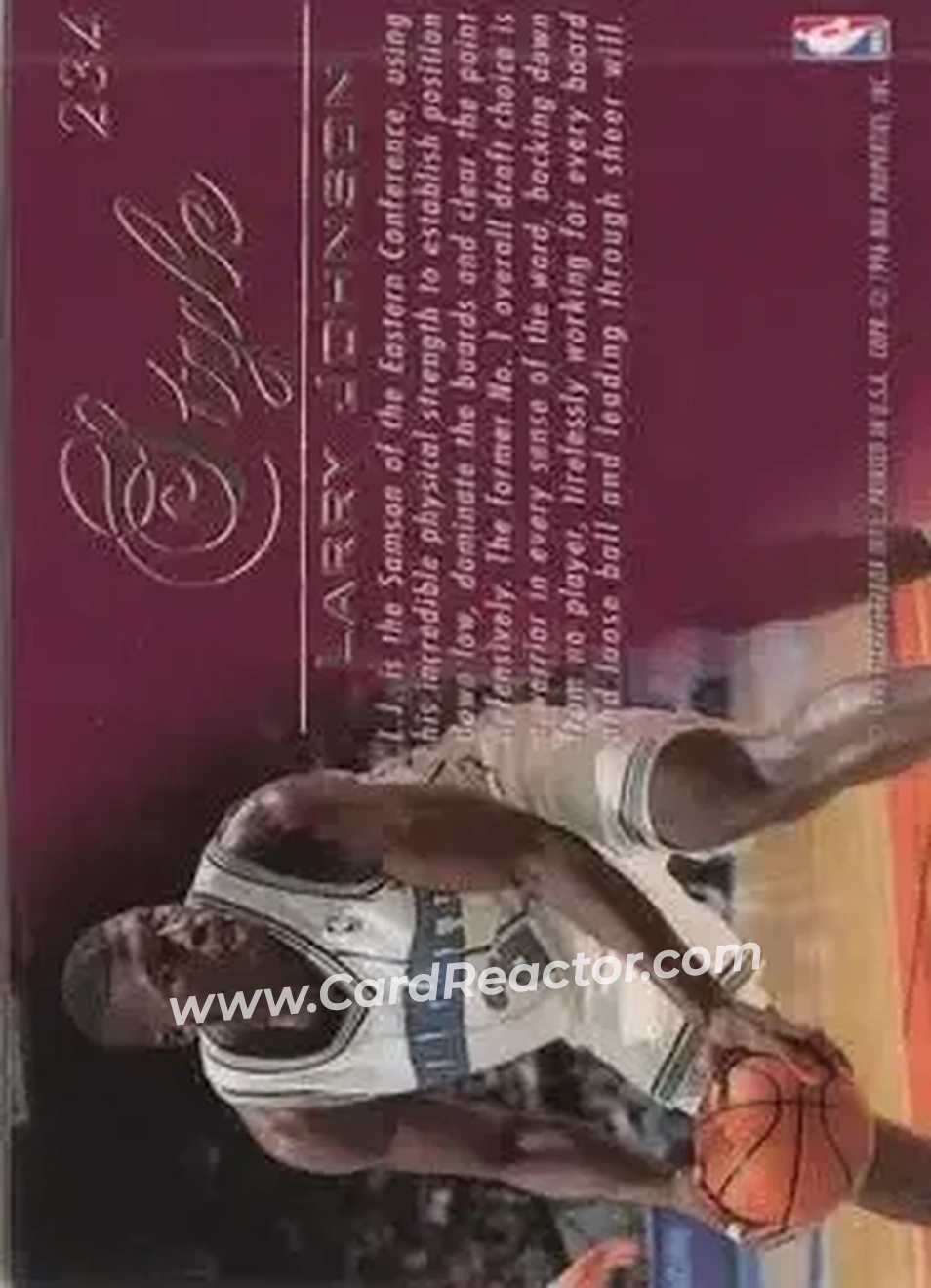 1995-96 Flair #234 - Larry Johnson - Charlotte Hornets - Back