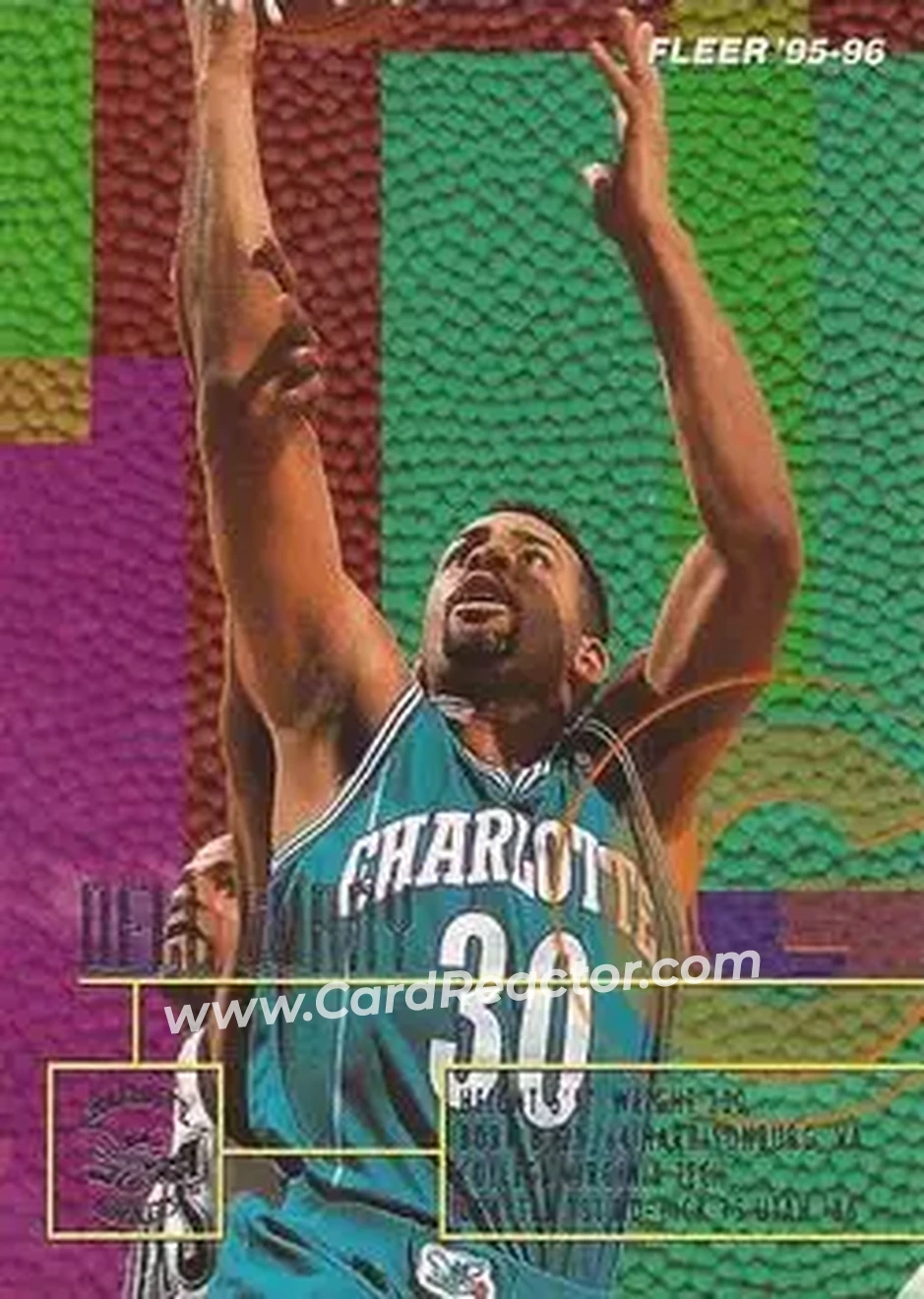 1995-96 Fleer #16 - Dell Curry - Charlotte Hornets - Front