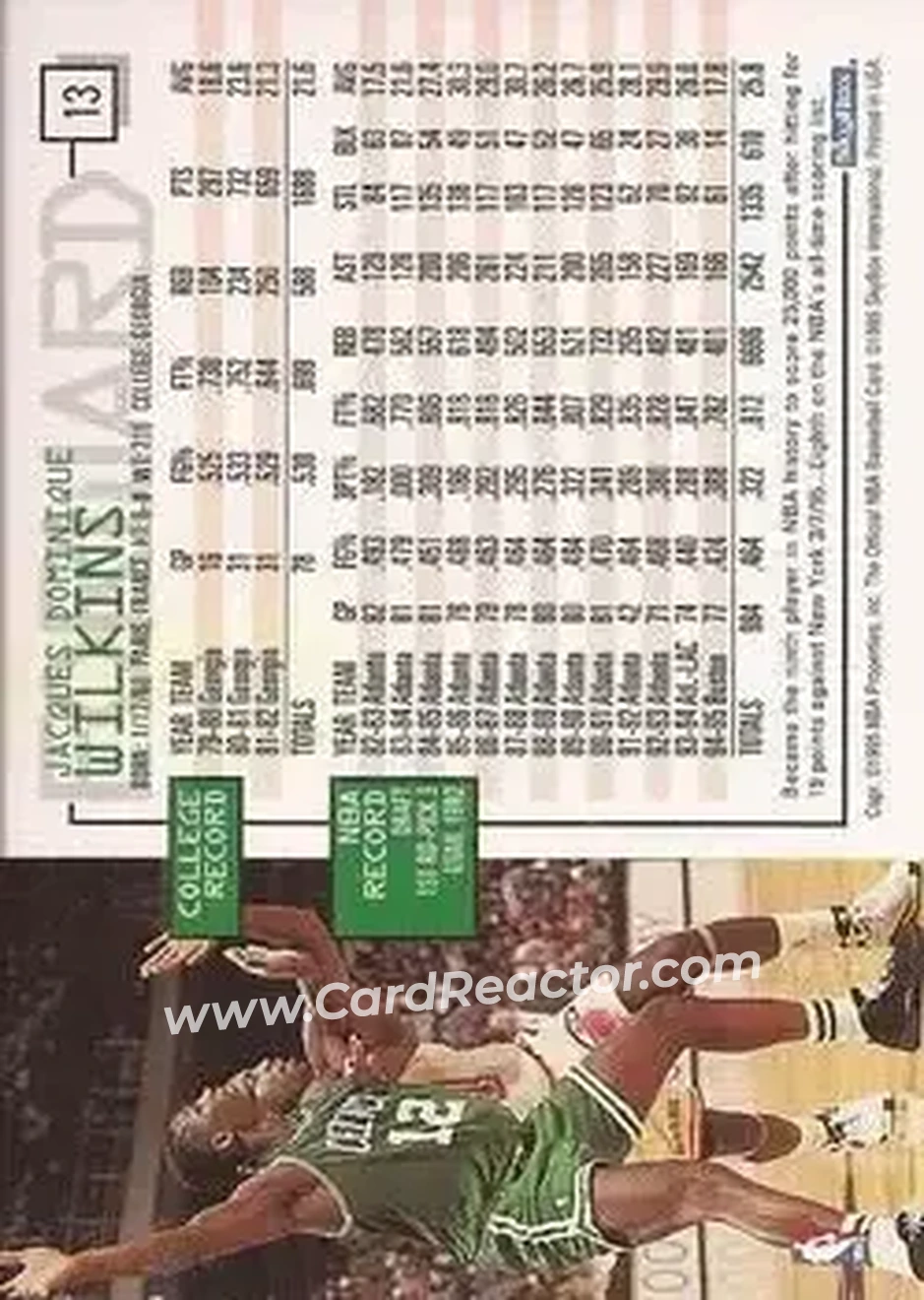 1995-96 Hoops #13 - Dominique Wilkins - Boston Celtics - Back
