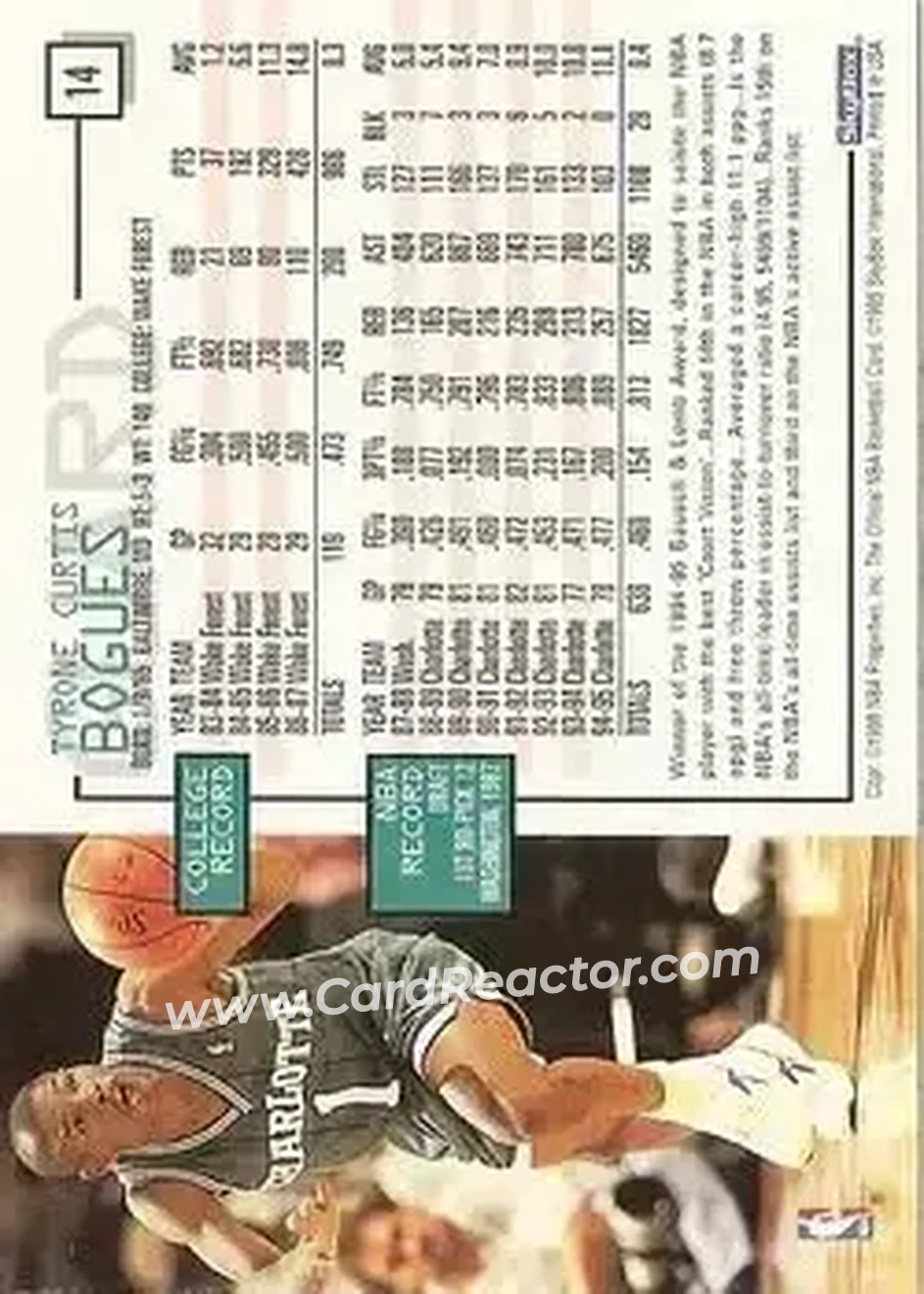 1995-96 Hoops #14 - Muggsy Bogues - Charlotte Hornets - Back
