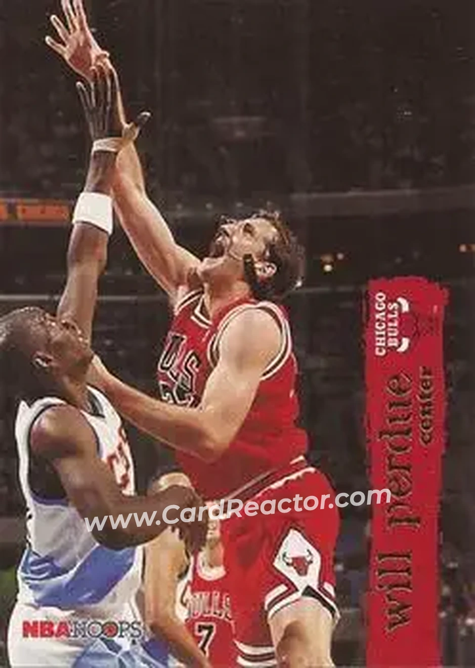 1995-96 Hoops #23 - Will Perdue - Chicago Bulls - Front