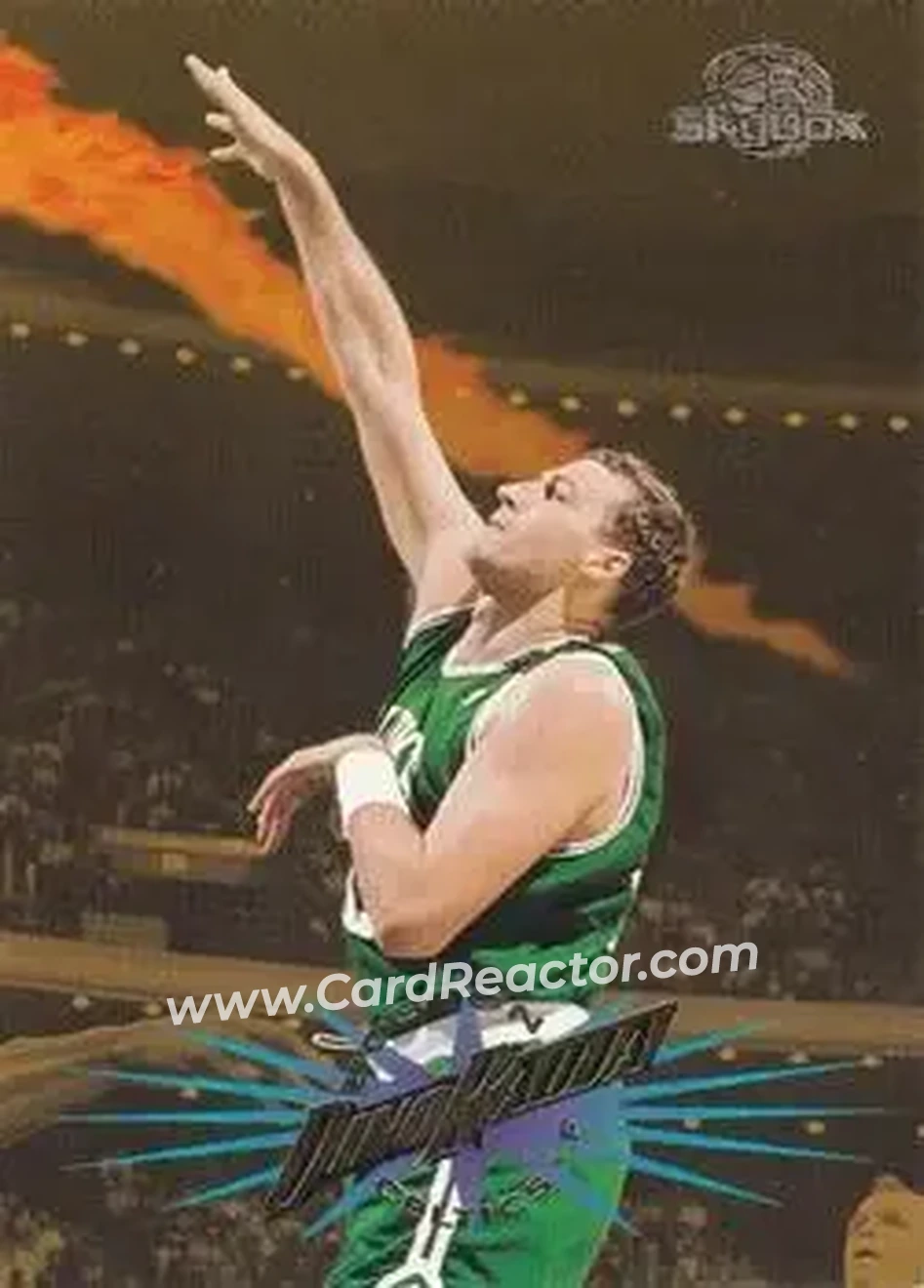 1995-96 SkyBox Premium #8 - Dino Radja - Boston Celtics