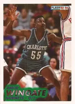 1993-94 Fleer #24 - David Wingate - Charlotte Hornets