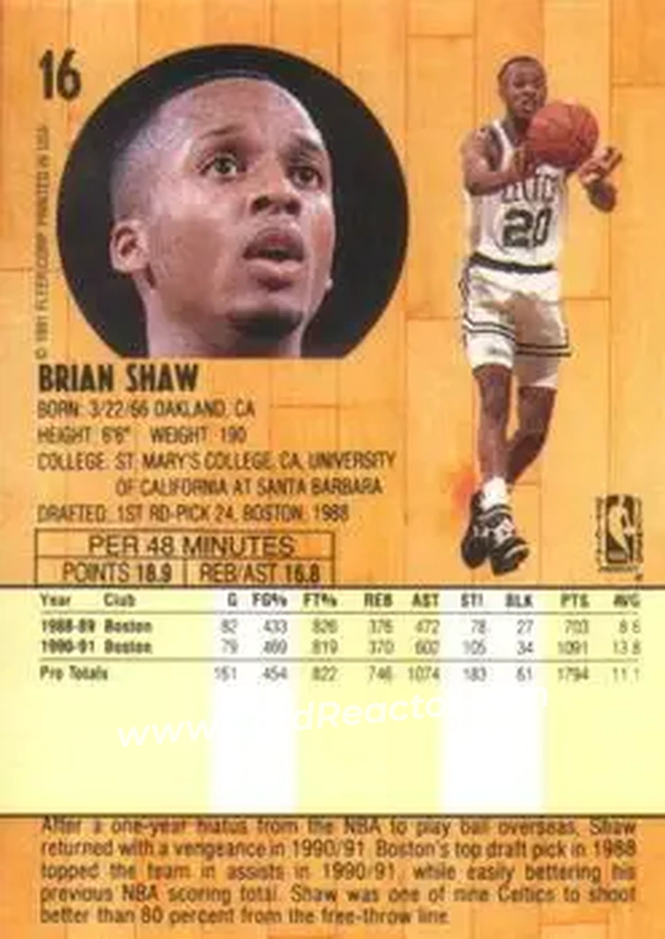 1991-92 Fleer #16 - Brian Shaw - Boston Celtics - Back